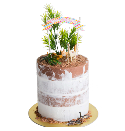 Celebox Safari Playland Theme Cake